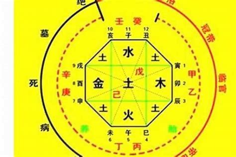 八字喜木|什么是八字喜用神，八字喜用神为木改运方法——天玄网